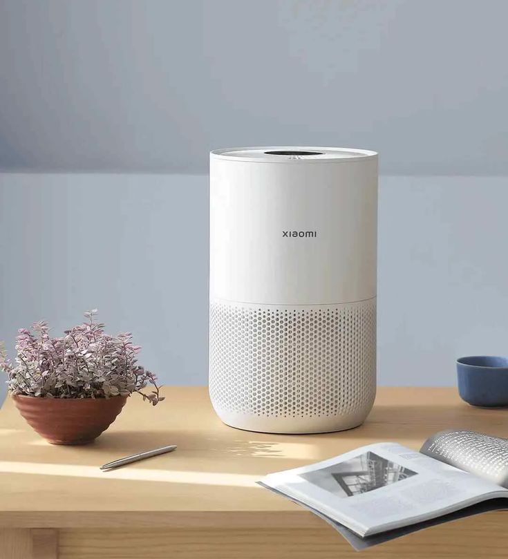 portable air purifier in home
